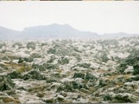 1995051540 Darrel Betty Darla Hagberg - May 15-31 - Baltimore Belgium Ireland Iceland