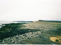 1995051560 Darrel Betty Darla Hagberg - May 15-31 - Baltimore Belgium Ireland Iceland