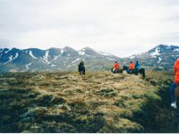 1995051444 Darrel Betty Darla Hagberg - May 15-31 - Baltimore Belgium Ireland Iceland