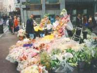 1995051366 Darrel Betty Darla Hagberg - May 15-31 - Baltimore Belgium Ireland Iceland