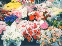 1995051367 Darrel Betty Darla Hagberg - May 15-31 - Baltimore Belgium Ireland Iceland