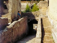 1989070609 : Darrel Hagberg