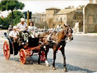 1989070721 : Katia DePuydt,Betty Hagberg,Darrel Hagberg