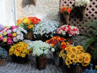 2005071714 Torri Del Benaco- Italy