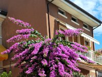 2005071729 Torri Del Benaco- Italy