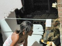 2005071360 San Gimignano Italy