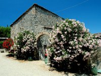 2005071387 Countryside of Tuscany Italy