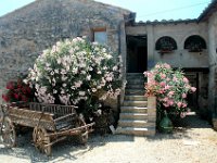 2005071389 Countryside of Tuscany Italy