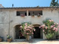 2005071390 Countryside of Tuscany Italy