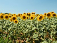 2005071395 Countryside of Tuscany Italy