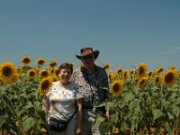 2005071397 Countryside of Tuscany Italy