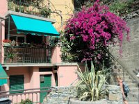 2005071535 Cinque Terre Italy