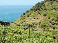2005071556 Cinque Terre Italy
