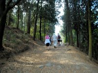 2005071607 Hillside Walk - Florence Italy