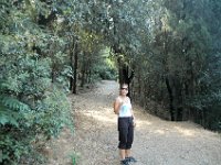 2005071608 Hillside Walk - Florence Italy