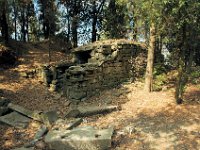 2005071612 Hillside Walk - Florence Italy