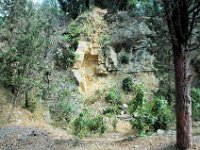 2005071614 Hillside Walk - Florence Italy