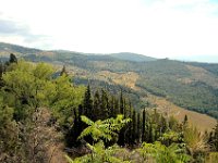 2005071618 Hillside Walk - Florence Italy
