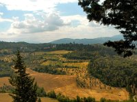 2005071622 Hillside Walk - Florence Italy