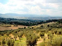 2005071627 Hillside Walk - Florence Italy