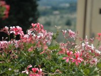 2005071655 Villa di Maiano - Florence Italy