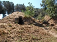 2008065791  Betty & Darrel Hagberg  Al & Diane Brandhorst Italy