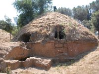 2008065792  Betty & Darrel Hagberg  Al & Diane Brandhorst Italy