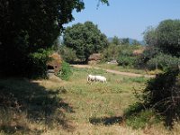 2008065795  Betty & Darrel Hagberg  Al & Diane Brandhorst Italy