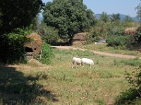 2008065796  Betty & Darrel Hagberg  Al & Diane Brandhorst Italy