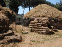 2008065799  Betty & Darrel Hagberg  Al & Diane Brandhorst Italy