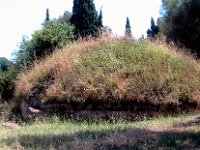 2008065806B  Betty & Darrel Hagberg  Al & Diane Brandhorst Italy