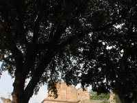 2008066046  Betty & Darrel Hagberg  Al & Diane Brandhorst Italy