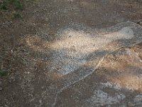 2008066063  Betty & Darrel Hagberg  Al & Diane Brandhorst Italy