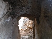 2008066065  Betty & Darrel Hagberg  Al & Diane Brandhorst Italy