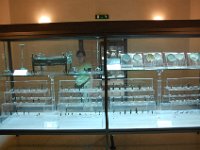 2008065854  Betty & Darrel Hagberg  Al & Diane Brandhorst Italy