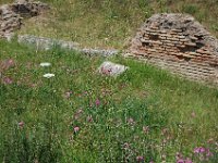 2008066173  Betty & Darrel Hagberg  Al & Diane Brandhorst Italy