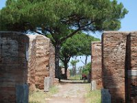 2008066175  Betty & Darrel Hagberg  Al & Diane Brandhorst Italy