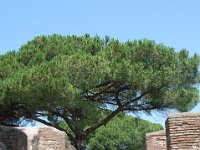 2008066176  Betty & Darrel Hagberg  Al & Diane Brandhorst Italy