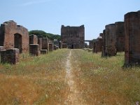 2008066203  Betty & Darrel Hagberg  Al & Diane Brandhorst Italy