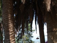 2008066095  Betty & Darrel Hagberg  Al & Diane Brandhorst Italy