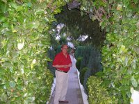 2008069288  Betty & Darrel Hagberg Al & Diane Brandhorst - Italy