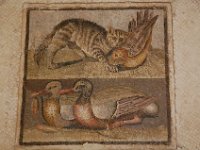 2008065488  Betty & Darrel Hagberg  Al & Diane Brandhorst Italy