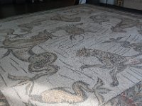 2008065549  Betty & Darrel Hagberg  Al & Diane Brandhorst Italy