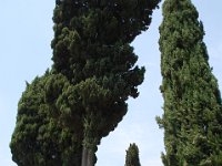 2008065391  Betty & Darrel Hagberg  Al & Diane Brandhorst Italy