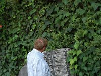 2008065394  Betty & Darrel Hagberg  Al & Diane Brandhorst Italy