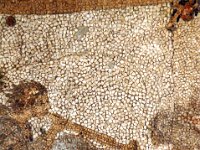 2008065902  Betty & Darrel Hagberg  Al & Diane Brandhorst Italy