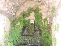 2008065952  Betty & Darrel Hagberg  Al & Diane Brandhorst Italy