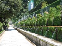 2008066003  Betty & Darrel Hagberg  Al & Diane Brandhorst Italy