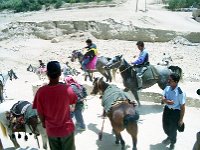 1997071578 Petra - Jordan - July 27