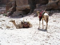 1997071630 Petra - Jordan - July 27